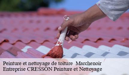 Peinture et nettoyage de toiture   marchenoir-41370 Entreprise CRESSON Peinture et Nettoyage