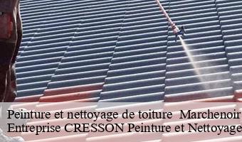 Peinture et nettoyage de toiture   marchenoir-41370 Entreprise CRESSON Peinture et Nettoyage