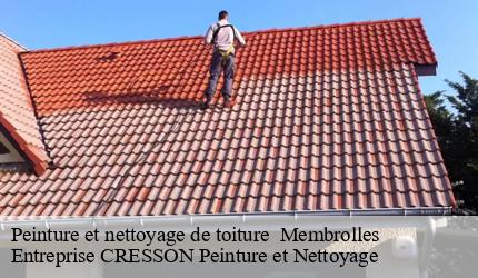 Peinture et nettoyage de toiture   membrolles-41240 Entreprise CRESSON Peinture et Nettoyage