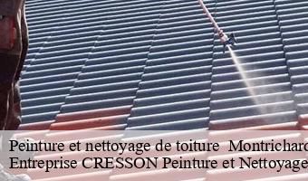 Peinture et nettoyage de toiture   montrichard-41400 Entreprise CRESSON Peinture et Nettoyage