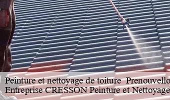 Peinture et nettoyage de toiture   prenouvellon-41240 Entreprise CRESSON Peinture et Nettoyage
