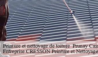 Peinture et nettoyage de toiture   prunay-cassereau-41310 Entreprise CRESSON Peinture et Nettoyage
