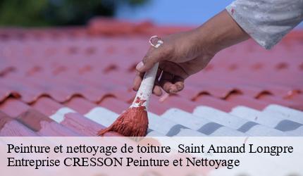 Peinture et nettoyage de toiture   saint-amand-longpre-41310 Entreprise CRESSON Peinture et Nettoyage