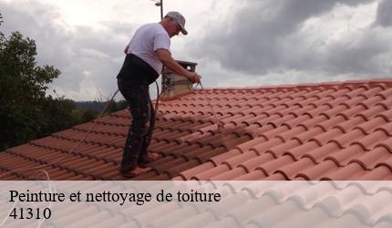 Peinture et nettoyage de toiture   saint-amand-longpre-41310 Entreprise CRESSON Peinture et Nettoyage