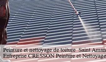 Peinture et nettoyage de toiture   saint-amand-longpre-41310 Entreprise CRESSON Peinture et Nettoyage