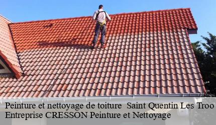 Peinture et nettoyage de toiture   saint-quentin-les-troo-41800 Entreprise CRESSON Peinture et Nettoyage