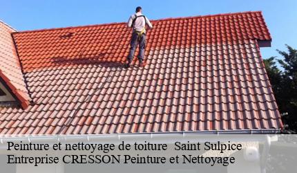 Peinture et nettoyage de toiture   saint-sulpice-41000 Entreprise CRESSON Peinture et Nettoyage
