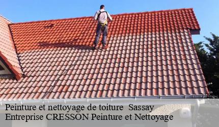 Peinture et nettoyage de toiture   sassay-41700 Entreprise CRESSON Peinture et Nettoyage