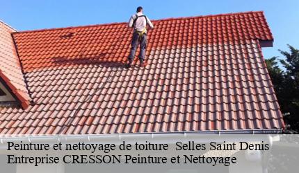 Peinture et nettoyage de toiture   selles-saint-denis-41300 Entreprise CRESSON Peinture et Nettoyage