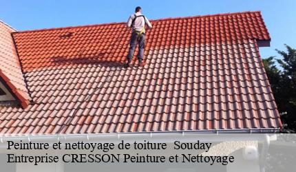 Peinture et nettoyage de toiture souday-41170 Entreprise CRESSON Peinture et Nettoyage