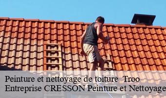 Peinture et nettoyage de toiture   troo-41800 Entreprise CRESSON Peinture et Nettoyage