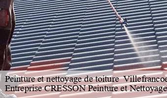Peinture et nettoyage de toiture   villefrancoeur-41330 Entreprise CRESSON Peinture et Nettoyage