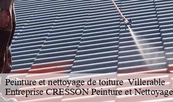 Peinture et nettoyage de toiture   villerable-41100 Entreprise CRESSON Peinture et Nettoyage
