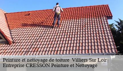 Peinture et nettoyage de toiture   villiers-sur-loir-41100 Entreprise CRESSON Peinture et Nettoyage