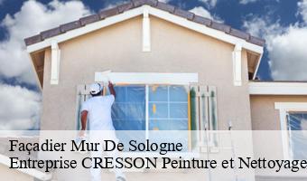 Façadier  mur-de-sologne-41230 Entreprise CRESSON Peinture et Nettoyage