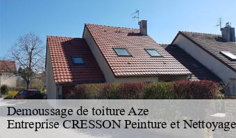 Demoussage de toiture  aze-41100 Entreprise CRESSON Peinture et Nettoyage