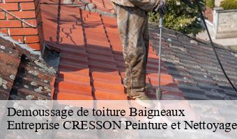 Demoussage de toiture  baigneaux-41290 Entreprise CRESSON Peinture et Nettoyage