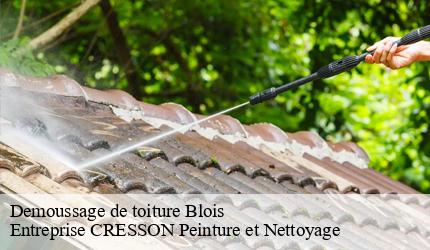 Demoussage de toiture  blois-41000 Entreprise CRESSON Peinture et Nettoyage