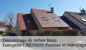 Demoussage de toiture  blois-41000 Entreprise CRESSON Peinture et Nettoyage