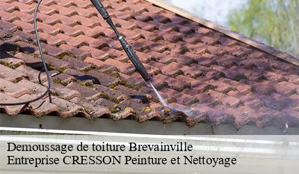 Demoussage de toiture  brevainville-41160 Entreprise CRESSON Peinture et Nettoyage