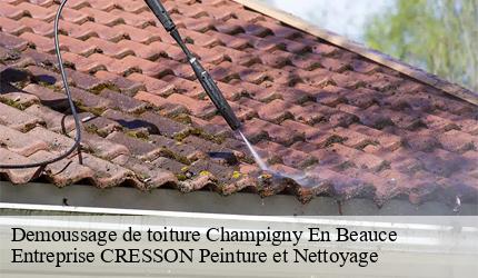 Demoussage de toiture  champigny-en-beauce-41330 Entreprise CRESSON Peinture et Nettoyage