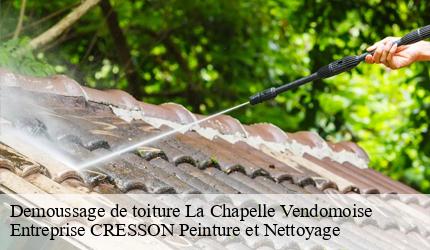 Demoussage de toiture  la-chapelle-vendomoise-41330 Entreprise CRESSON Peinture et Nettoyage