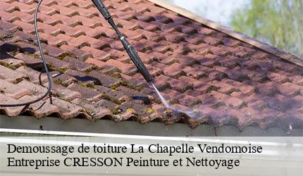 Demoussage de toiture  la-chapelle-vendomoise-41330 Entreprise CRESSON Peinture et Nettoyage