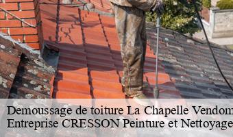Demoussage de toiture  la-chapelle-vendomoise-41330 Entreprise CRESSON Peinture et Nettoyage