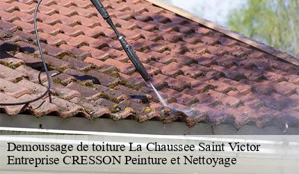 Demoussage de toiture  la-chaussee-saint-victor-41260 Entreprise CRESSON Peinture et Nettoyage