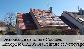 Demoussage de toiture  couddes-41700 Entreprise CRESSON Peinture et Nettoyage