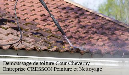 Demoussage de toiture  cour-cheverny-41700 Entreprise CRESSON Peinture et Nettoyage