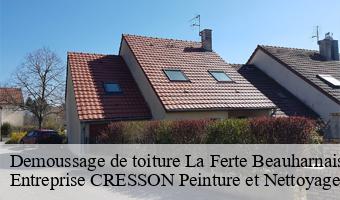 Demoussage de toiture  la-ferte-beauharnais-41210 Entreprise CRESSON Peinture et Nettoyage