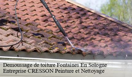 Demoussage de toiture fontaines-en-sologne-41250 Entreprise CRESSON Peinture et Nettoyage