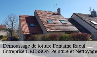 Demoussage de toiture  fontaine-raoul-41270 Entreprise CRESSON Peinture et Nettoyage