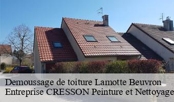 Demoussage de toiture  lamotte-beuvron-41600 Entreprise CRESSON Peinture et Nettoyage
