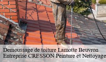 Demoussage de toiture  lamotte-beuvron-41600 Entreprise CRESSON Peinture et Nettoyage