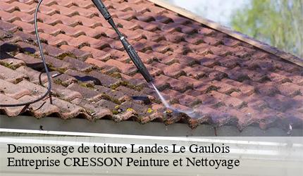 Demoussage de toiture  landes-le-gaulois-41190 Entreprise CRESSON Peinture et Nettoyage