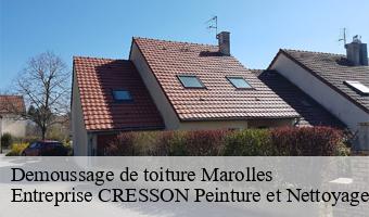 Demoussage de toiture  marolles-41330 Entreprise CRESSON Peinture et Nettoyage