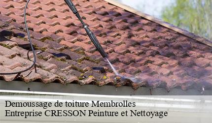 Demoussage de toiture  membrolles-41240 Entreprise CRESSON Peinture et Nettoyage