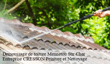 Demoussage de toiture  mennetou-sur-cher-41320 Entreprise CRESSON Peinture et Nettoyage