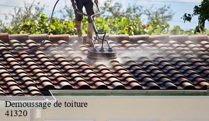 Demoussage de toiture  mennetou-sur-cher-41320 Entreprise CRESSON Peinture et Nettoyage