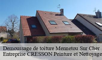 Demoussage de toiture  mennetou-sur-cher-41320 Entreprise CRESSON Peinture et Nettoyage