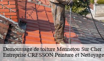 Demoussage de toiture  mennetou-sur-cher-41320 Entreprise CRESSON Peinture et Nettoyage