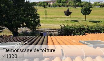 Demoussage de toiture  mennetou-sur-cher-41320 Entreprise CRESSON Peinture et Nettoyage