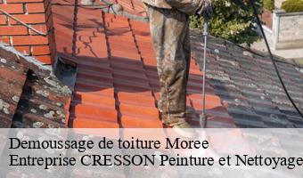 Demoussage de toiture  moree-41160 Entreprise CRESSON Peinture et Nettoyage