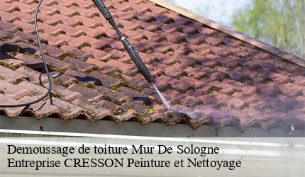 Demoussage de toiture mur-de-sologne-41230 Entreprise CRESSON Peinture et Nettoyage