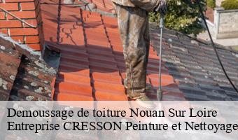 Demoussage de toiture  nouan-sur-loire-41220 Entreprise CRESSON Peinture et Nettoyage