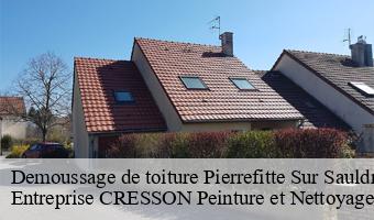 Demoussage de toiture  pierrefitte-sur-sauldre-41300 Entreprise CRESSON Peinture et Nettoyage
