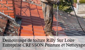 Demoussage de toiture  rilly-sur-loire-41150 Entreprise CRESSON Peinture et Nettoyage