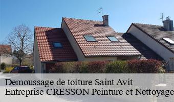Demoussage de toiture  saint-avit-41170 Entreprise CRESSON Peinture et Nettoyage